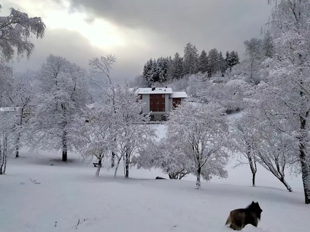 zdjęcie hotelu